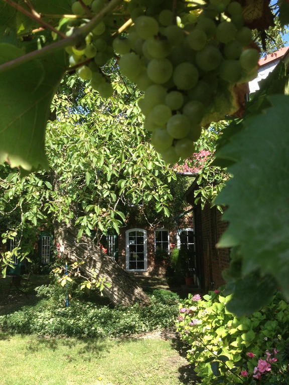 Pension Kunsthof Dahrenstedt Екстер'єр фото