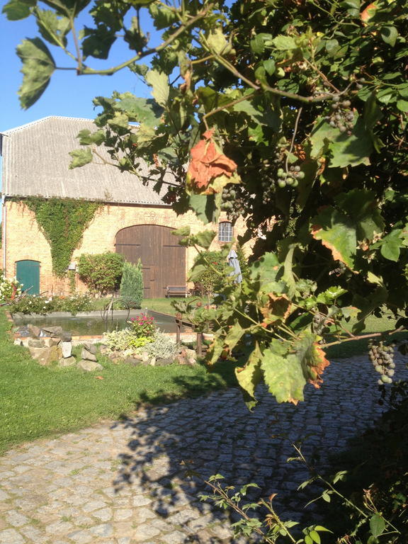 Pension Kunsthof Dahrenstedt Екстер'єр фото